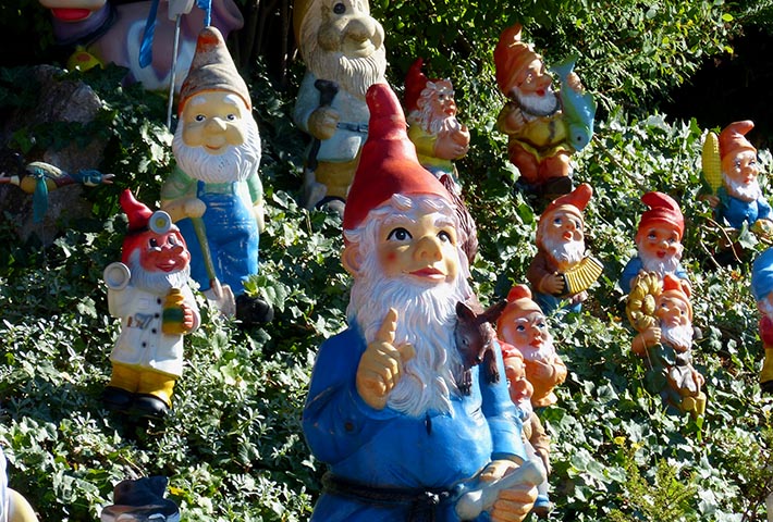 What You Need to Know About Gnomes